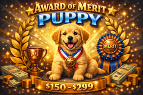 Award of Merit Puppy-1