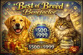 Best Of Breed Benefactor
